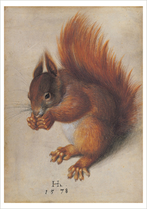 Hans Hoffmann: Red Squirrel Notecard_Front_Flat