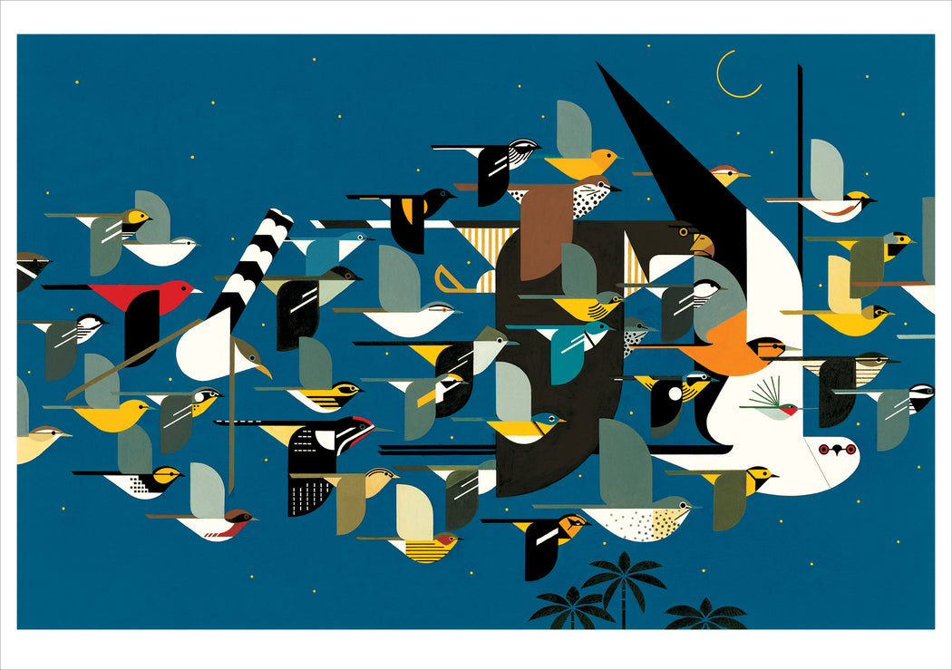 Charley Harper: Mystery of the Missing Migrants Notecard_Front_Flat