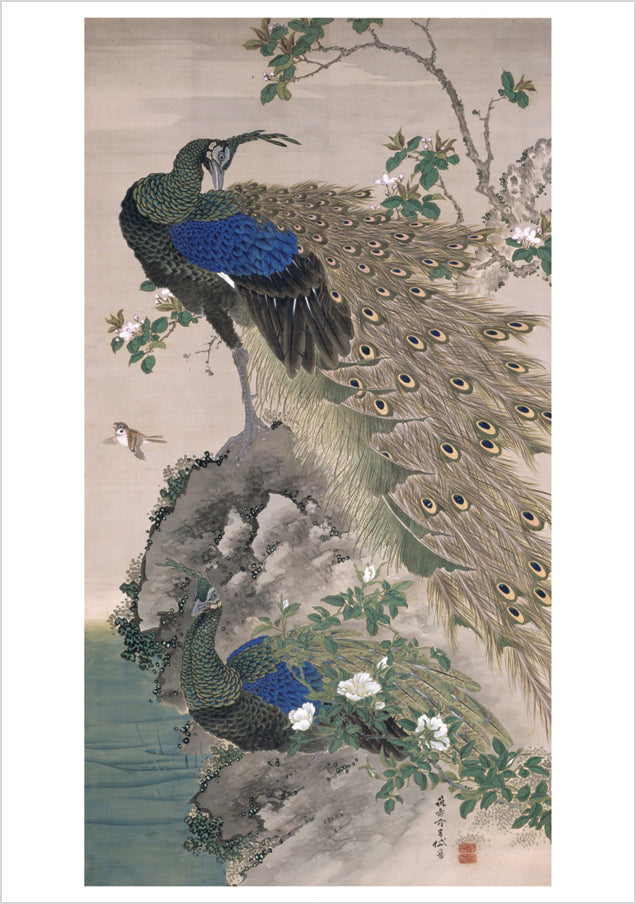 Gantai: Cherry-Apple and Peacocks on Rock Notecard_Front_Flat