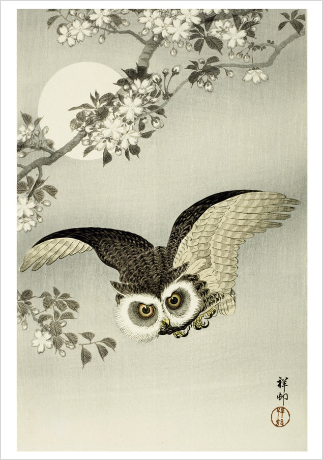 Ohara Koson (Shōson): Scops Owl, Cherry Blossoms and Moon Notecard_Front_Flat