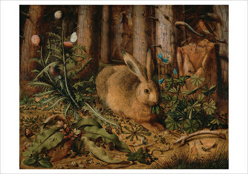 Hans Hoffmann: A Hare in the Forest Notecard_Front_Flat