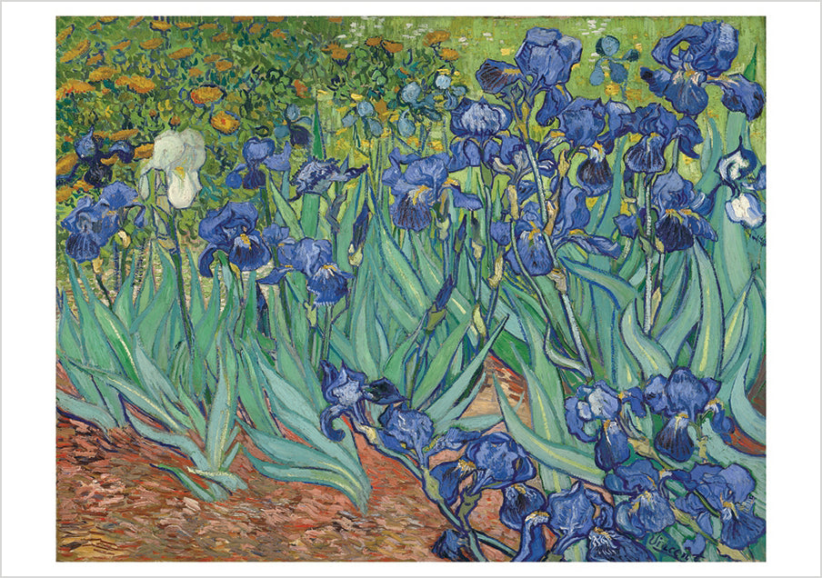 Vincent van Gogh: Irises Notecard_Front_Flat