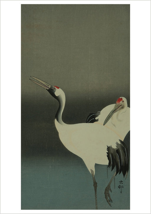 Ohara Koson (Shōson): Two Cranes Notecard_Front_Flat