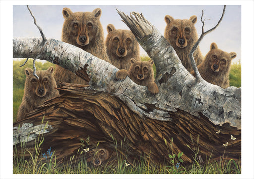 Robert Bissell: The Portrait Notecard_Front_Flat