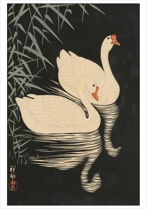 Ohara Koson (Shōson): Two Geese Swimming Notecard_Front_Flat