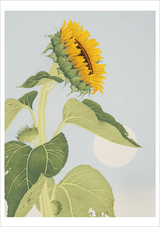 Kate Krasin: Sunflower Notecard_Front_Flat