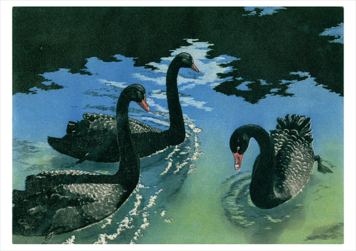 Maurice R. Bebb: Black Swans Notecard_Front_Flat