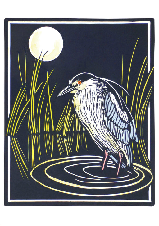 Molly Hashimoto: Black-crowned Night Heron Notecard_Front_Flat