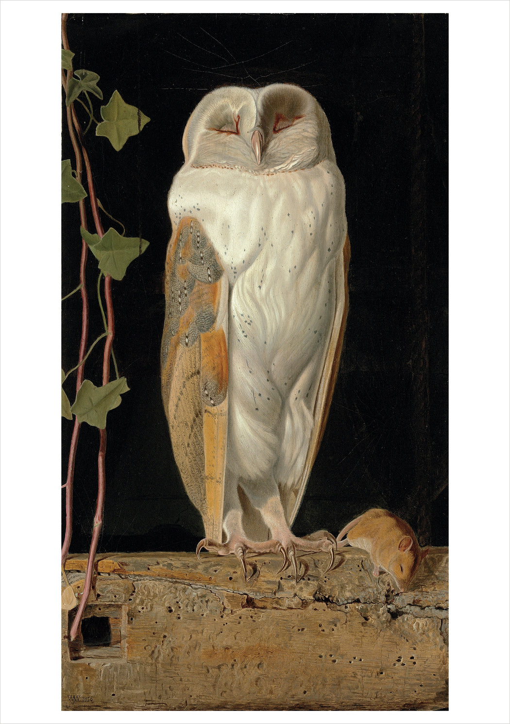 William J. Webbe: The White Owl Notecard_Front_Flat