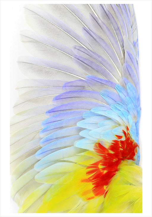 Christopher Marley: Opaline Turquoisine Notecard_Front_Flat