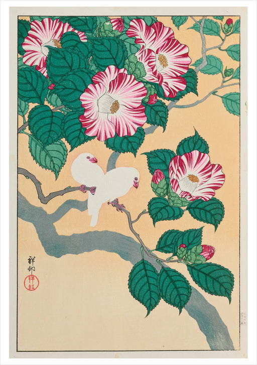 Ohara Koson (Shōson): Camellia and Rice Birds Notecard_Front_Flat