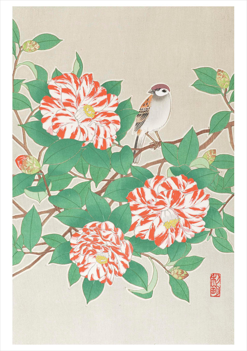 Sparrow on Red and White Camellia Notecard_Front_Flat