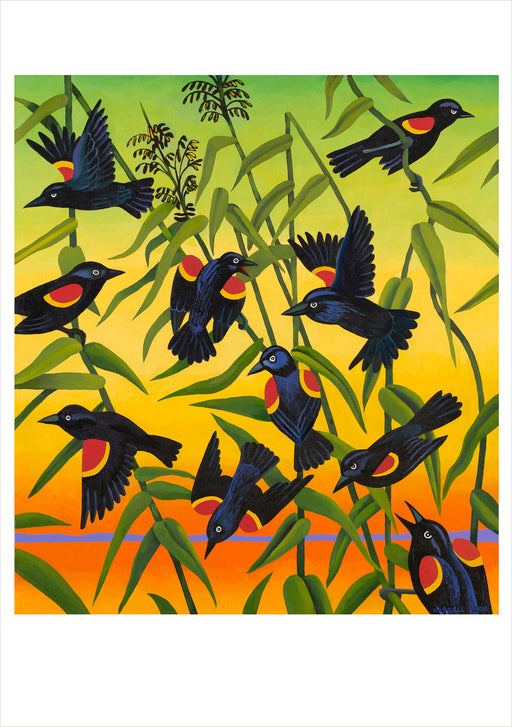 Billy Hassell: Red-Wing Blackbirds and Wild Rice Notecard_Front_Flat