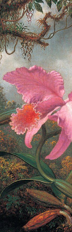 Martin Johnson Heade: Orchid and Hummingbird Bookmark_Front_Flat