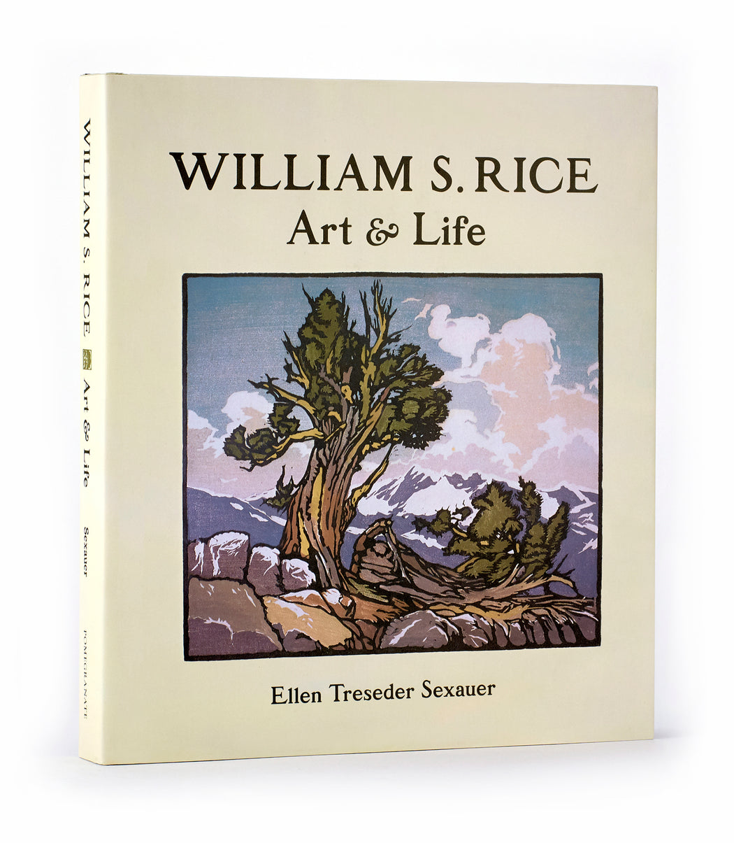 William S. Rice: Art & Life_Front_3D