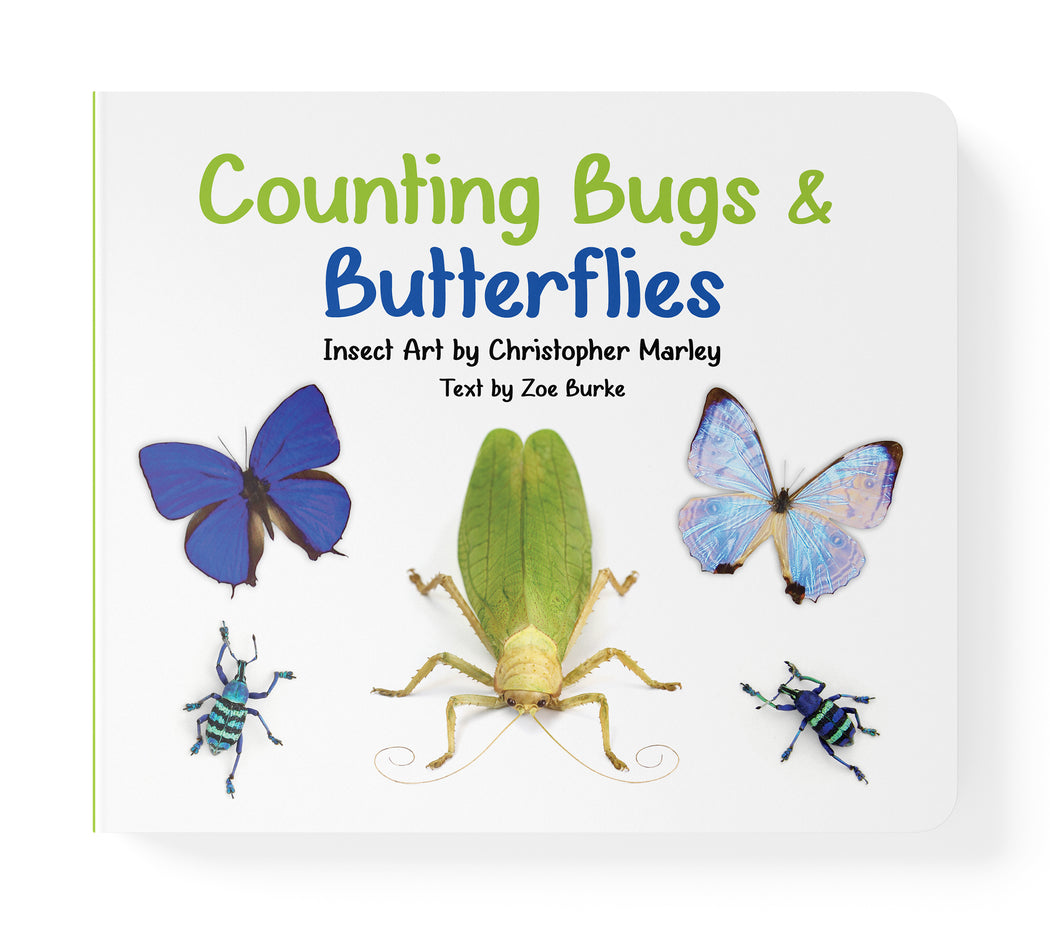 Counting Bugs & Butterflies: Insect Art by Christopher Marley Board Book_Zoom