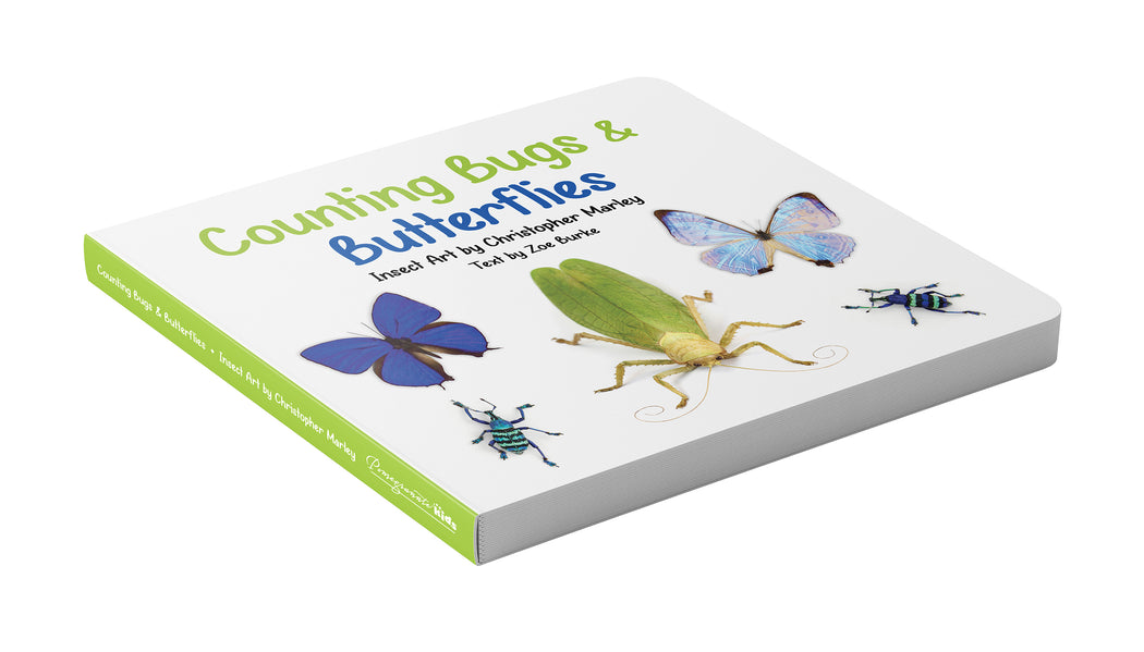 Counting Bugs & Butterflies: Insect Art by Christopher Marley Board Book_Secondary_Promotion_B