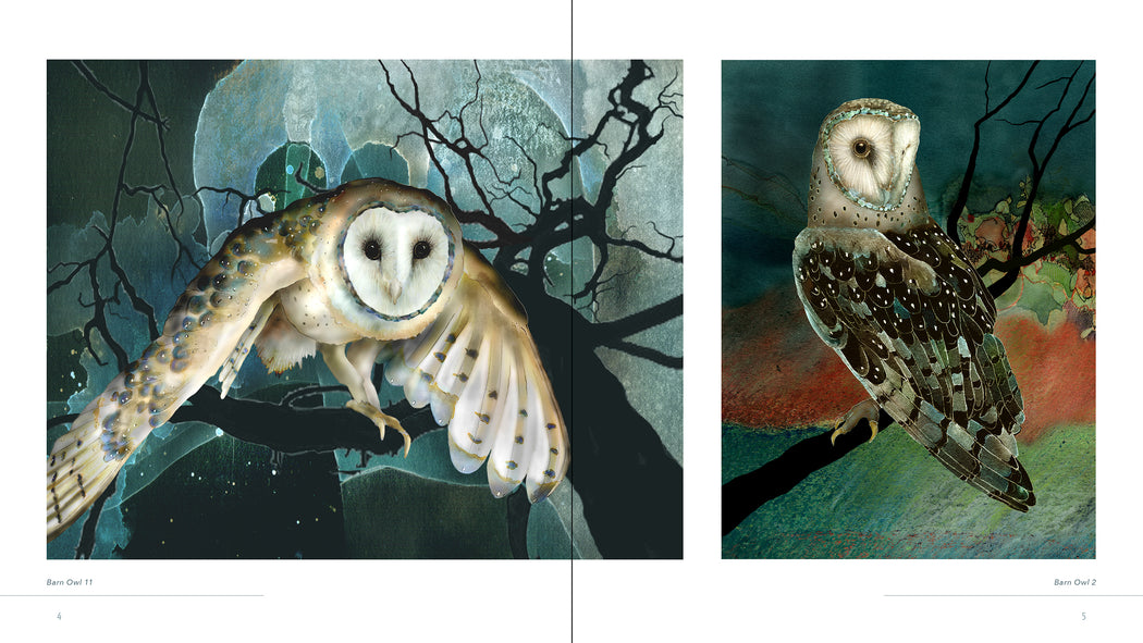 Owls: The Paintings of Jeannine Chappell_Interior_2