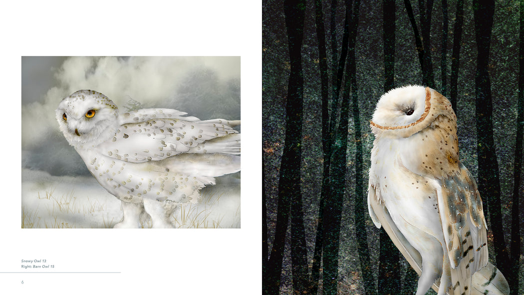 Owls: The Paintings of Jeannine Chappell_Interior_3