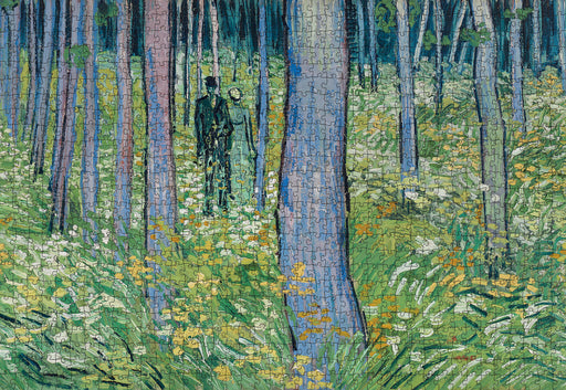 Vincent van Gogh: Undergrowth with Two Figures 1000-Piece Jigsaw Puzzle_Zoom