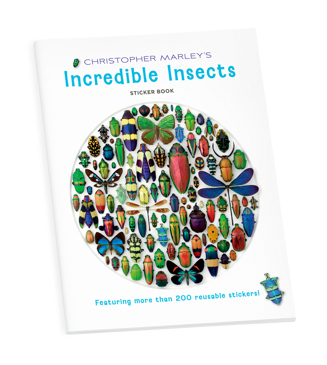 Christopher Marley's Incredible Insects Sticker Book_Primary