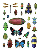 Christopher Marley's Incredible Insects Sticker Book_Interior_1