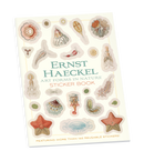 Ernst Haeckel: Art Forms in Nature Sticker Book_Primary
