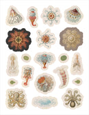 Ernst Haeckel: Art Forms in Nature Sticker Book_Interior_2