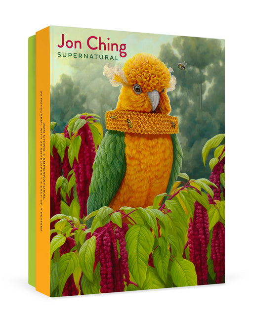 Jon Ching: Supernatural Boxed Notecard Assortment_Front_3D