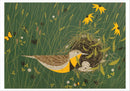 Charley Harper: Nesting Instinct Boxed Notecard Assortment_Interior_4