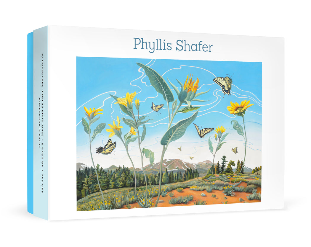 Phyllis Shafer Boxed Notecard Assortment_Front_3D