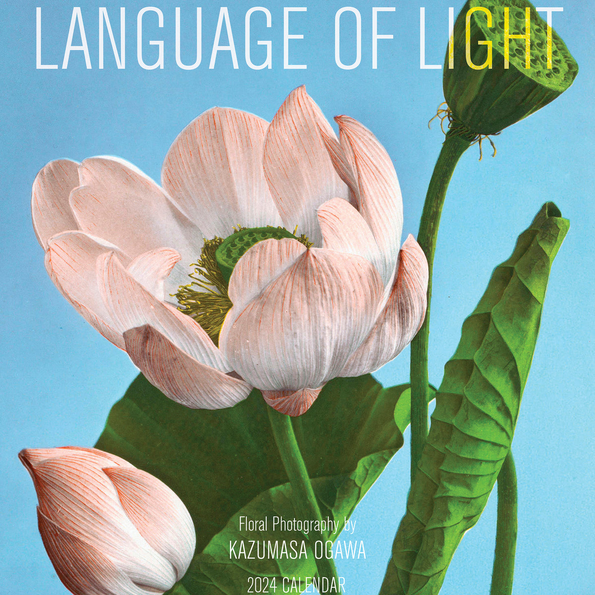 Language of light