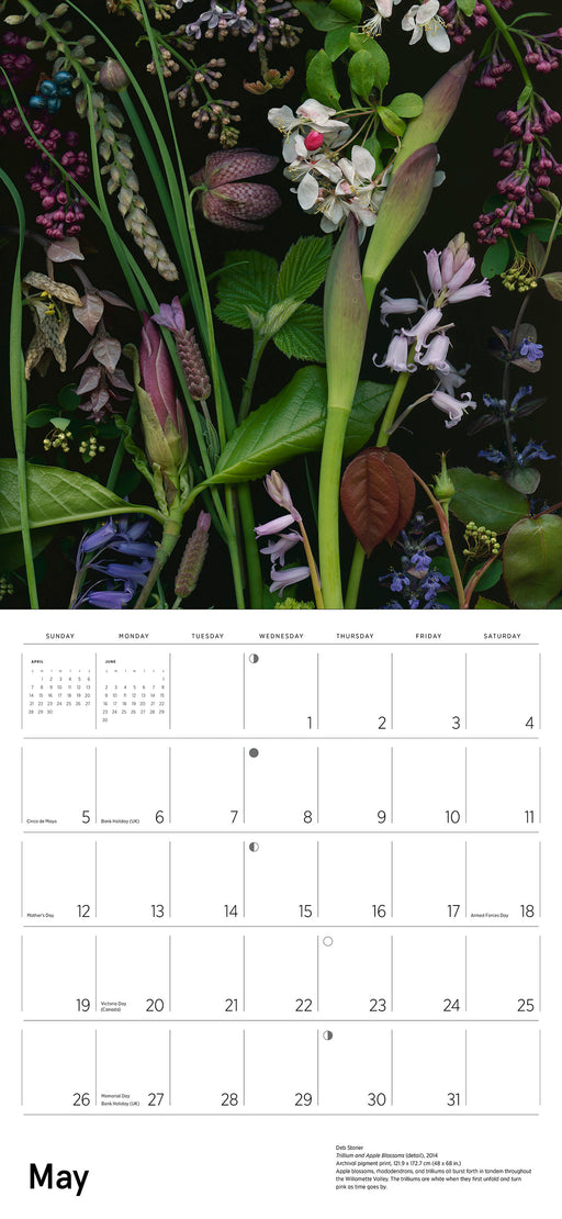 Deb Stoner: Flora 2024 Wall Calendar_Interior_1
