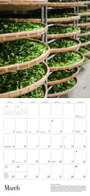 Tea 2025 Wall Calendar_Interior_1