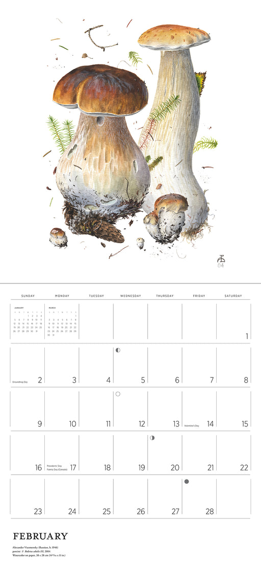 Mushrooms: Alexander Viazmensky 2025 Wall Calendar_Interior_1