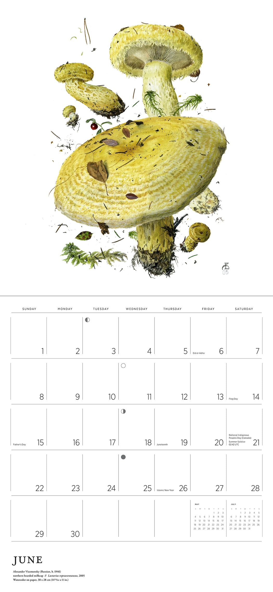 Mushrooms: Alexander Viazmensky 2025 Wall Calendar_Interior_2