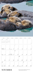Sea Otters: Photographs by Tom and Pat Leeson 2025 Wall Calendar_Interior_2