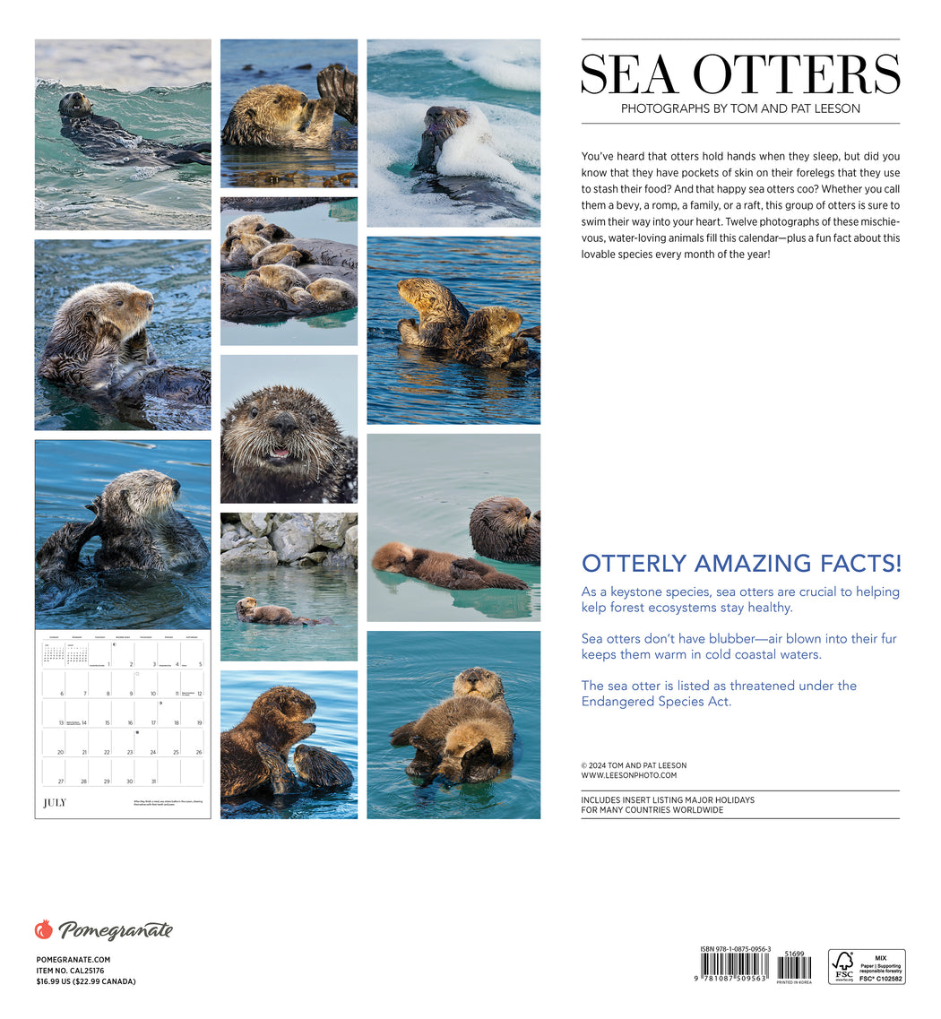 Sea Otters: Photographs by Tom and Pat Leeson 2025 Wall Calendar_Back_Multipiece