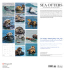 Sea Otters: Photographs by Tom and Pat Leeson 2025 Wall Calendar_Back_Multipiece