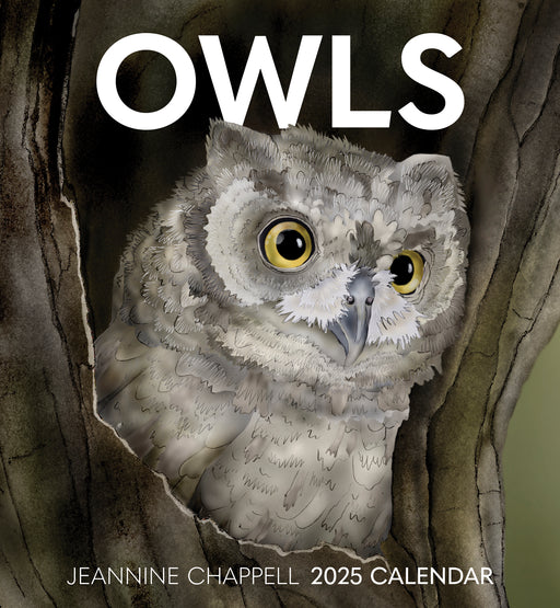 Owls: Jeannine Chappell 2025 Wall Calendar_Front_Flat