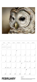 Owls: Jeannine Chappell 2025 Wall Calendar_Interior_2