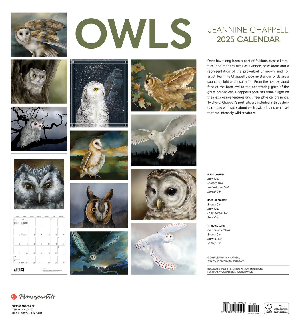Owls: Jeannine Chappell 2025 Wall Calendar_Back_Multipiece