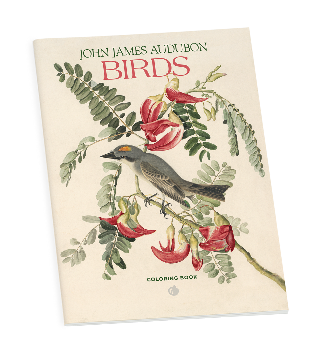 John James Audubon: Birds Coloring Book_Primary