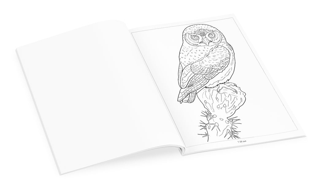 Owls Coloring Book_Interior_2