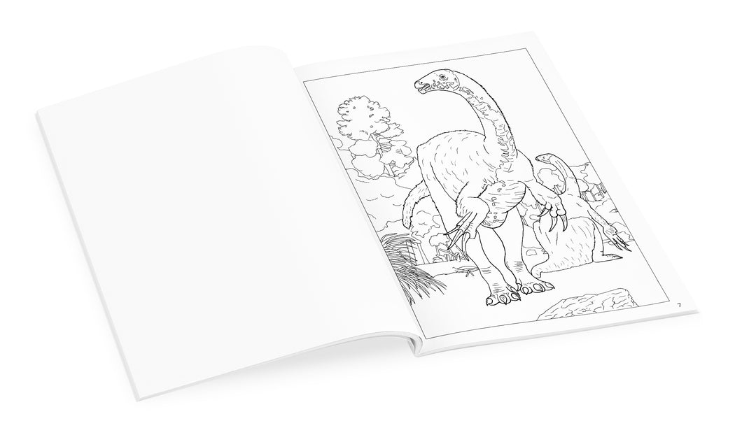 Dinosaur Coloring Activity Book : Dinosaur coloring book bulk