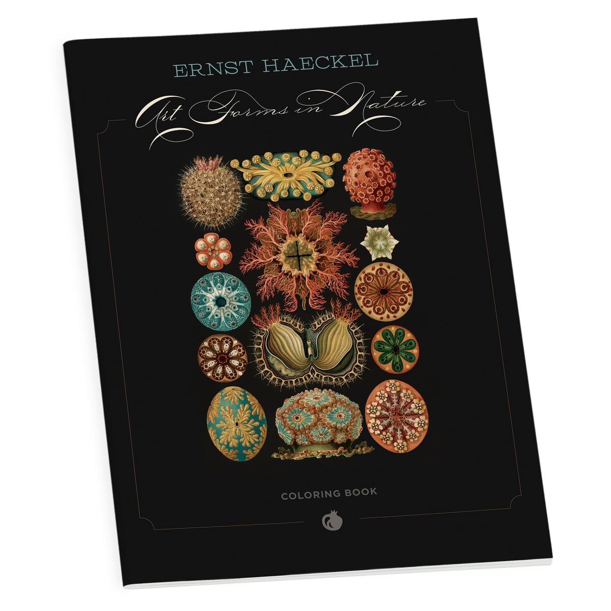 Ernst Haeckel: Art Forms in Nature Sticker Book — Pomegranate