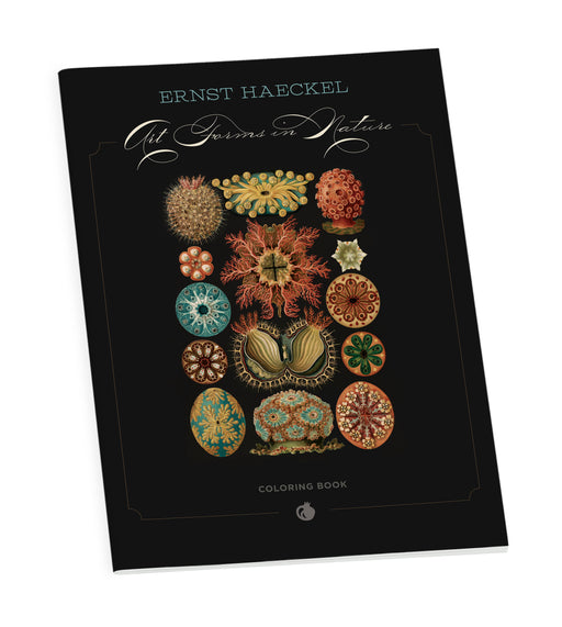 Ernst Haeckel: Art Forms in Nature Coloring Book_Front_3D