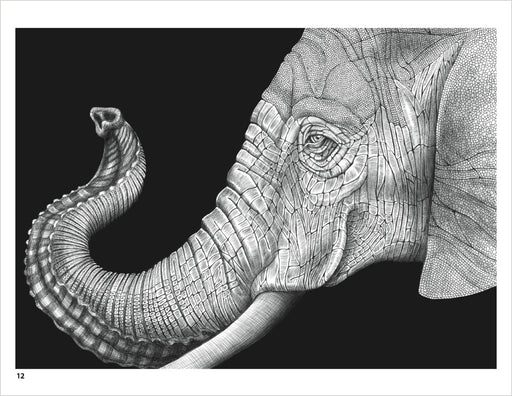 Intricate Ink: Animals in Detail Coloring Book_Interior_1