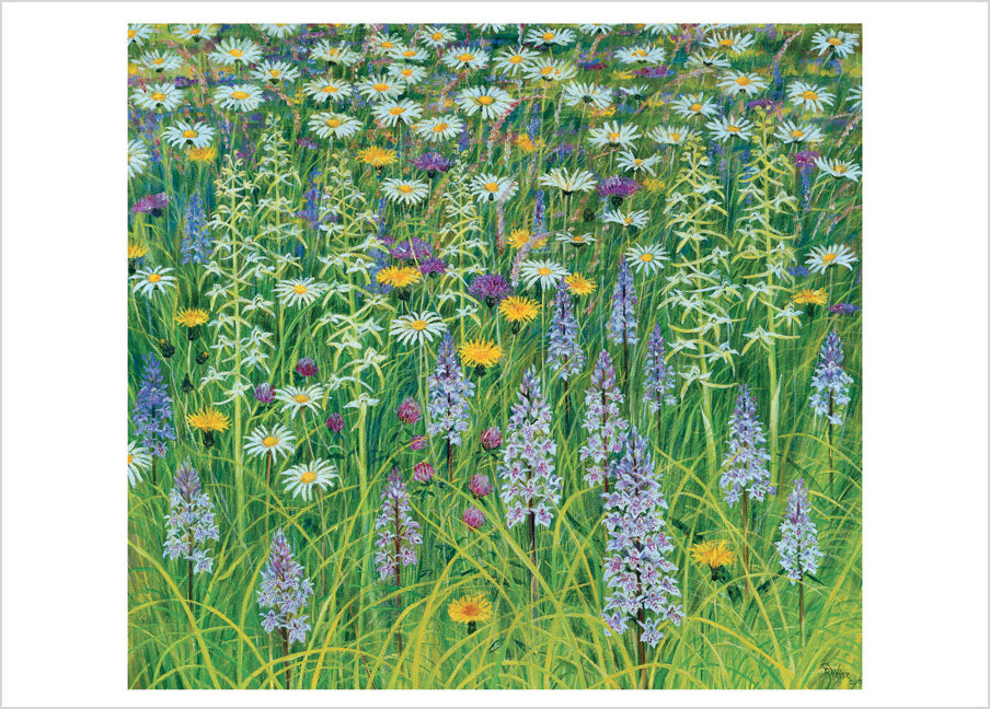 Rosalind Wise: Pentwyn Meadow Orchids Birthday Card_Front_Flat