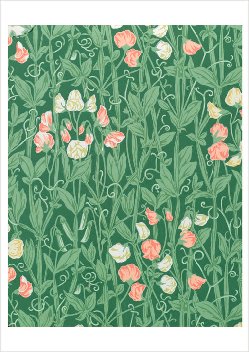 William Morris: Sweetpea Pattern Birthday Card_Front_Flat